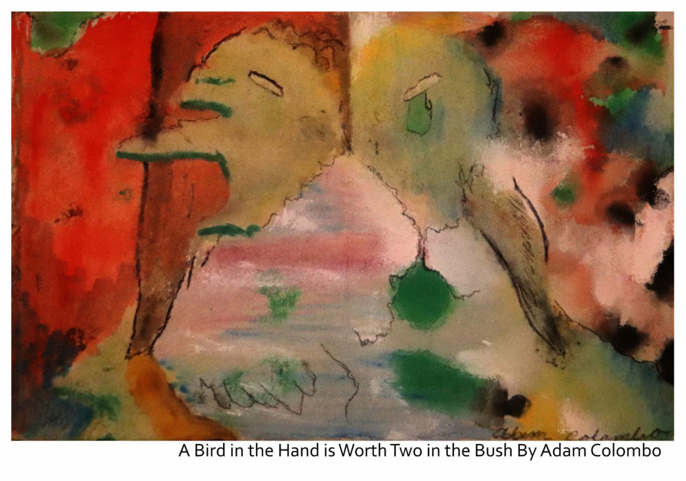 A Bird in the Hand is Worth Two in the Bush